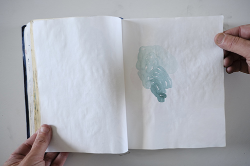 cuadernos | carnet-2013 | &copy; patrice de Santa Coloma