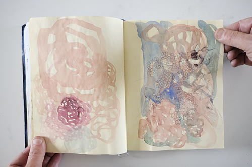 cuadernos | carnet-2013 | &copy; patrice de Santa Coloma