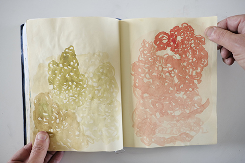 cuadernos | carnet-2013 | &copy; patrice de Santa Coloma