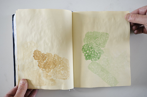 cuadernos | carnet-2013 | &copy; patrice de Santa Coloma