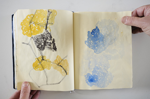 cuadernos | carnet-2013 | &copy; patrice de Santa Coloma