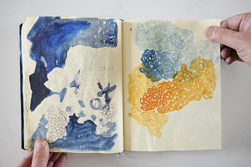 cuadernos | carnet-2013 | &copy; patrice de Santa Coloma