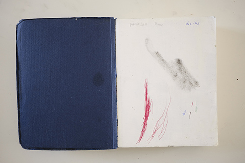 cuadernos | carnet-2014 | &copy; patrice de Santa Coloma