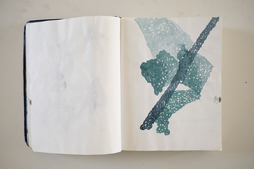 cuadernos | carnet-2014 | &copy; patrice de Santa Coloma