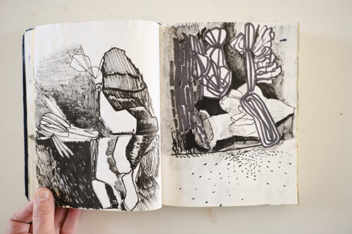 cuadernos | carnet-2014 | &copy; patrice de Santa Coloma