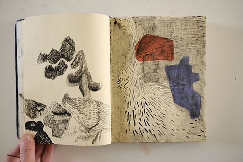cuadernos | carnet-2014 | &copy; patrice de Santa Coloma