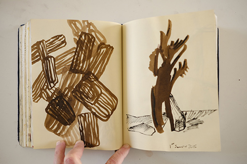 cuadernos | carnet-2014 | &copy; patrice de Santa Coloma