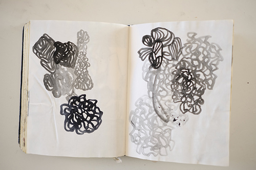 cuadernos | carnet-2014 | &copy; patrice de Santa Coloma