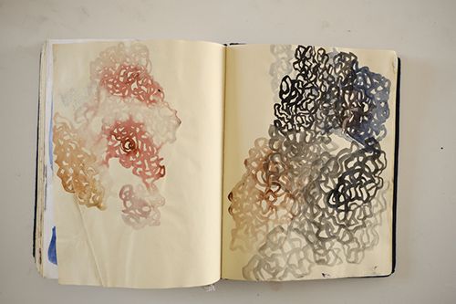 cuadernos | carnet-2014 | &copy; patrice de Santa Coloma