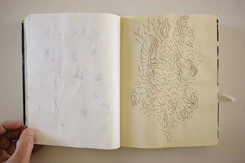 carnets | carnet-2015 | &copy; patrice de Santa Coloma