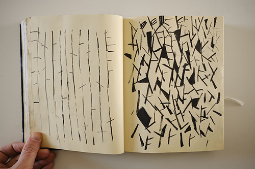 carnets | carnet-2015 | &copy; patrice de Santa Coloma