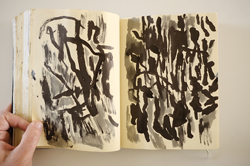 carnets | carnet-2015 | &copy; patrice de Santa Coloma