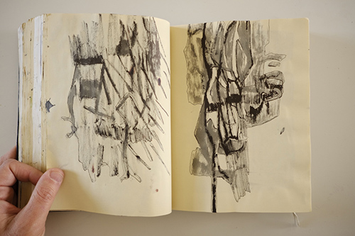 carnets | carnet-2015 | &copy; patrice de Santa Coloma