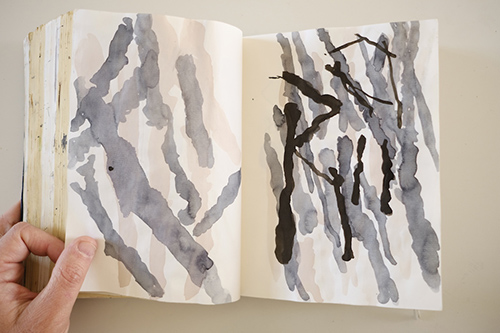 carnets | carnet-2015 | &copy; patrice de Santa Coloma