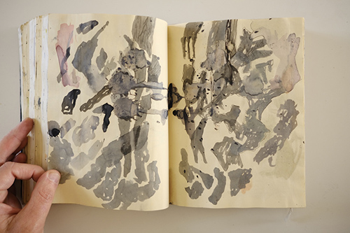 carnets | carnet-2015 | &copy; patrice de Santa Coloma