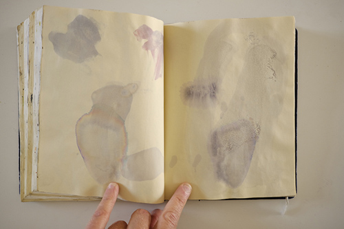 carnets | carnet-2015 | &copy; patrice de Santa Coloma