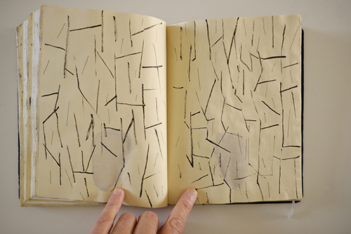 carnets | carnet-2015 | &copy; patrice de Santa Coloma