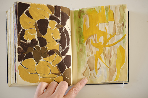 carnets | carnet-2015 | &copy; patrice de Santa Coloma