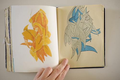 carnets | carnet-2015 | &copy; patrice de Santa Coloma