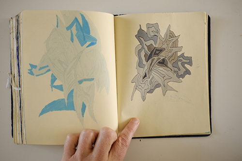 carnets | carnet-2015 | &copy; patrice de Santa Coloma