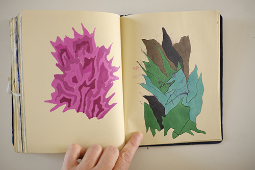 carnets | carnet-2015 | &copy; patrice de Santa Coloma
