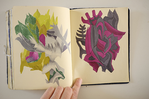 carnets | carnet-2015 | &copy; patrice de Santa Coloma