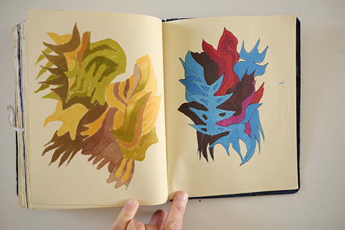 carnets | carnet-2015 | &copy; patrice de Santa Coloma