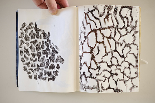 carnets | carnet-2015 | &copy; patrice de Santa Coloma
