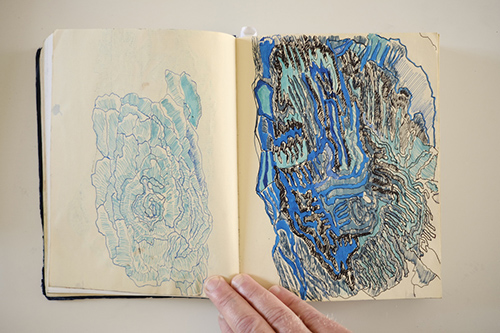 sketchbooks | carnet-2016 | &copy; patrice de Santa Coloma