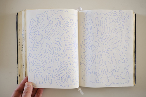 sketchbooks | carnet-2016 | &copy; patrice de Santa Coloma