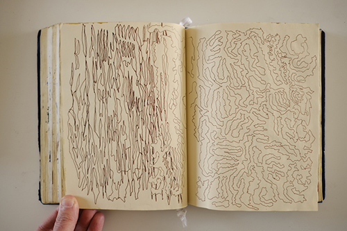 sketchbooks | carnet-2016 | &copy; patrice de Santa Coloma