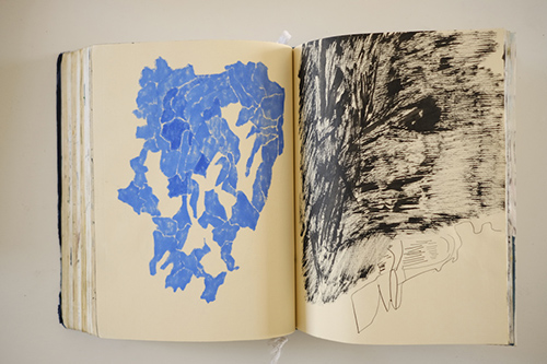 sketchbooks | carnet-2016 | &copy; patrice de Santa Coloma