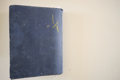 sketchbooks | carnet-2016 | &copy; patrice de Santa Coloma