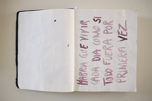 sketchbooks | carnet-2016 | &copy; patrice de Santa Coloma