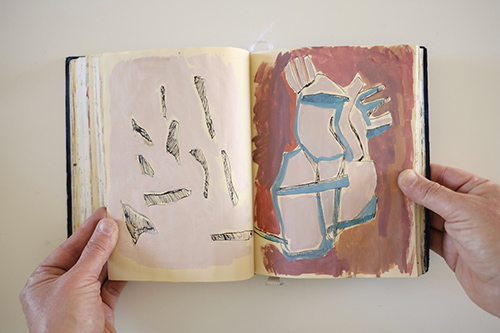 cuadernos | carnet-2017 | &copy; patrice de Santa Coloma