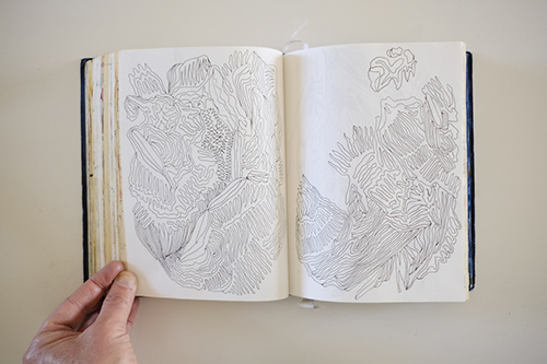cuadernos | carnet-2017 | &copy; patrice de Santa Coloma