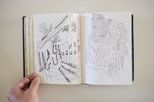 cuadernos | carnet-2017 | &copy; patrice de Santa Coloma