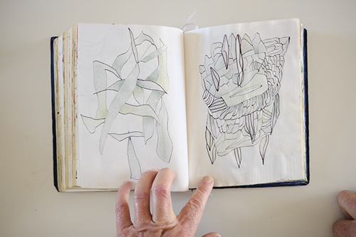 cuadernos | carnet-2017 | &copy; patrice de Santa Coloma
