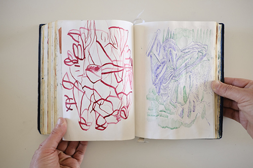 cuadernos | carnet-2017 | &copy; patrice de Santa Coloma