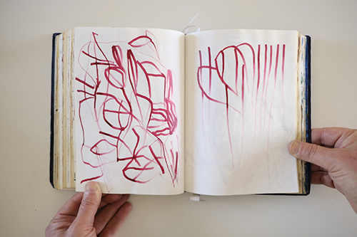 cuadernos | carnet-2017 | &copy; patrice de Santa Coloma
