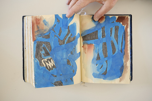cuadernos | carnet-2017 | &copy; patrice de Santa Coloma