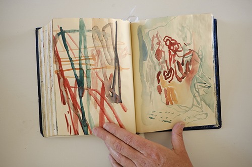 cuadernos | carnet-2017 | &copy; patrice de Santa Coloma