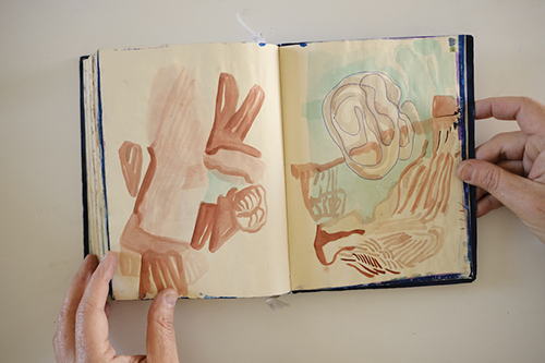 cuadernos | carnet-2017 | &copy; patrice de Santa Coloma