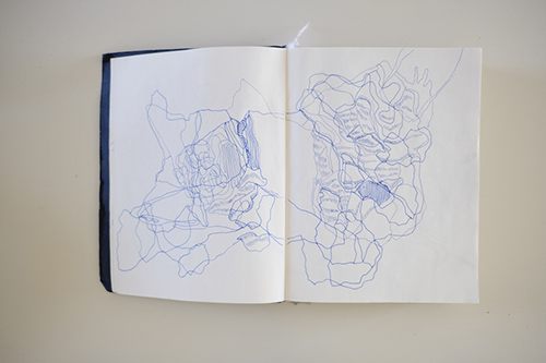 cuadernos | carnet-2017 | &copy; patrice de Santa Coloma