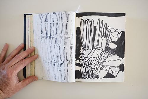 cuadernos | carnet-2017 | &copy; patrice de Santa Coloma