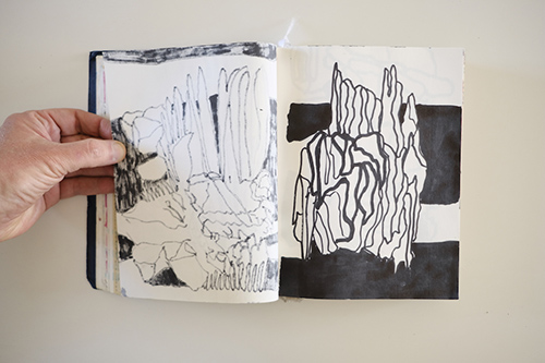 cuadernos | carnet-2017 | &copy; patrice de Santa Coloma