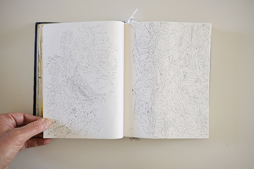 cuadernos | carnet-2017 | &copy; patrice de Santa Coloma