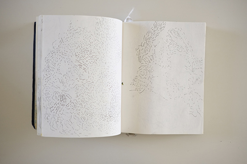 cuadernos | carnet-2017 | &copy; patrice de Santa Coloma