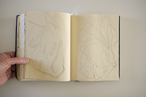 cuadernos | carnet-2017 | &copy; patrice de Santa Coloma