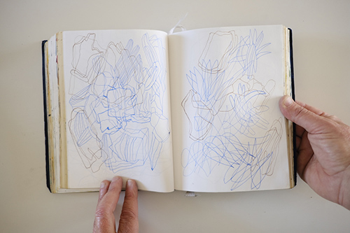 cuadernos | carnet-2017 | &copy; patrice de Santa Coloma